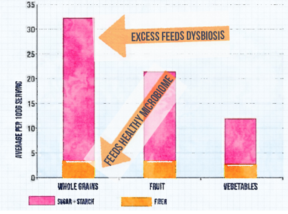 As you can see, grains have about as much fiber as veggies, but with up to 5x the starch! Too much of this type of food acts more like dysbiosis snacks than anything else, especially if you’re not properly digesting.