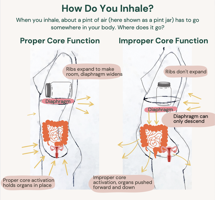 What is Endo Belly Series Part 1, Core Dysfunction — Heal Endo