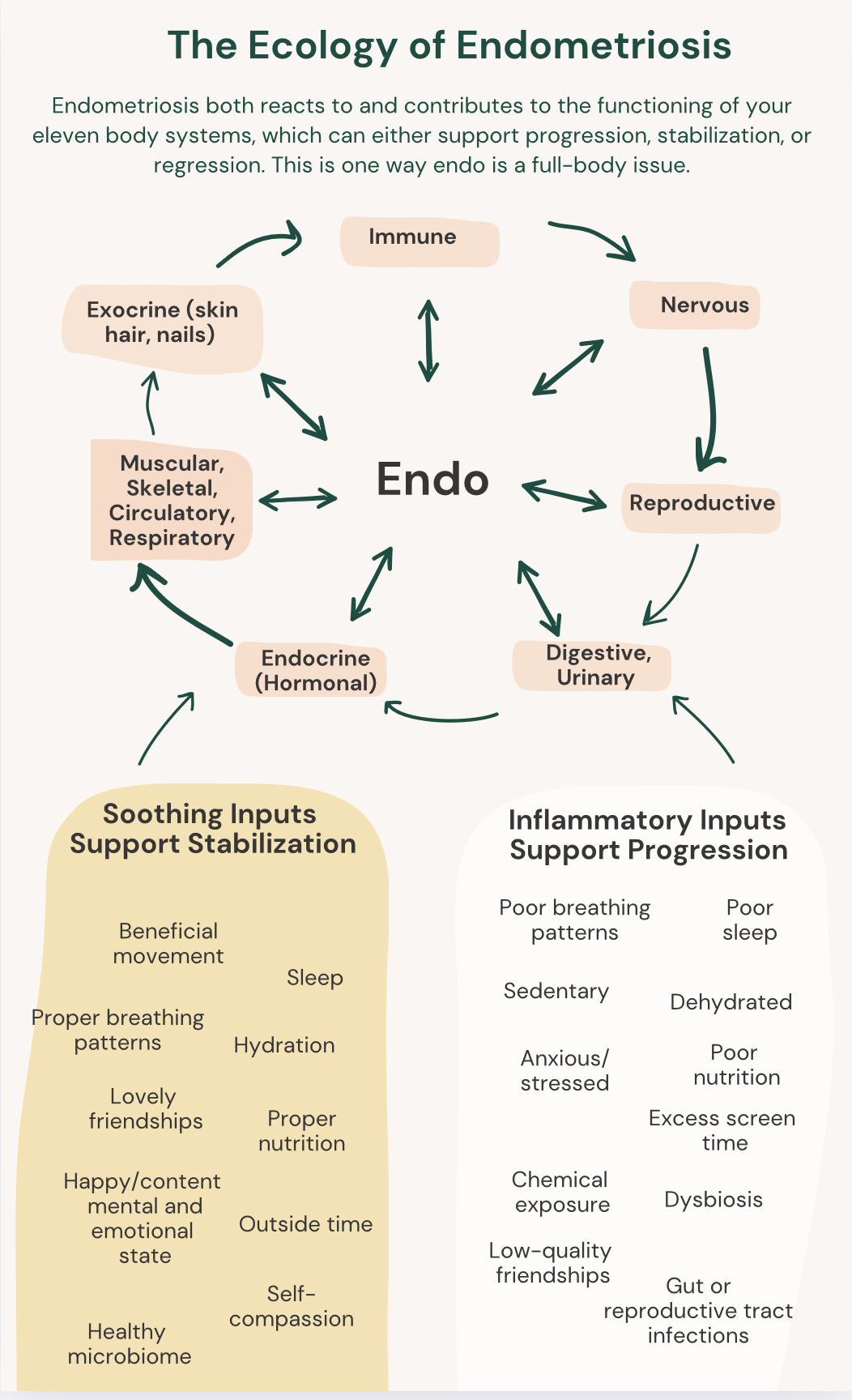 Holistic healing modalities for endometriosis including anti-inflammatory diet, complementary therapies, and lifestyle changes that support pain relief and symptom management.