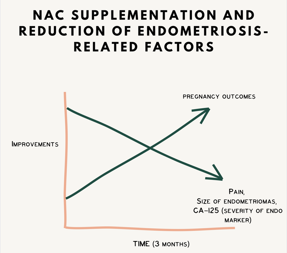 NAC and Glycine Supplementation for Endometriosis Treatment — Heal Endo