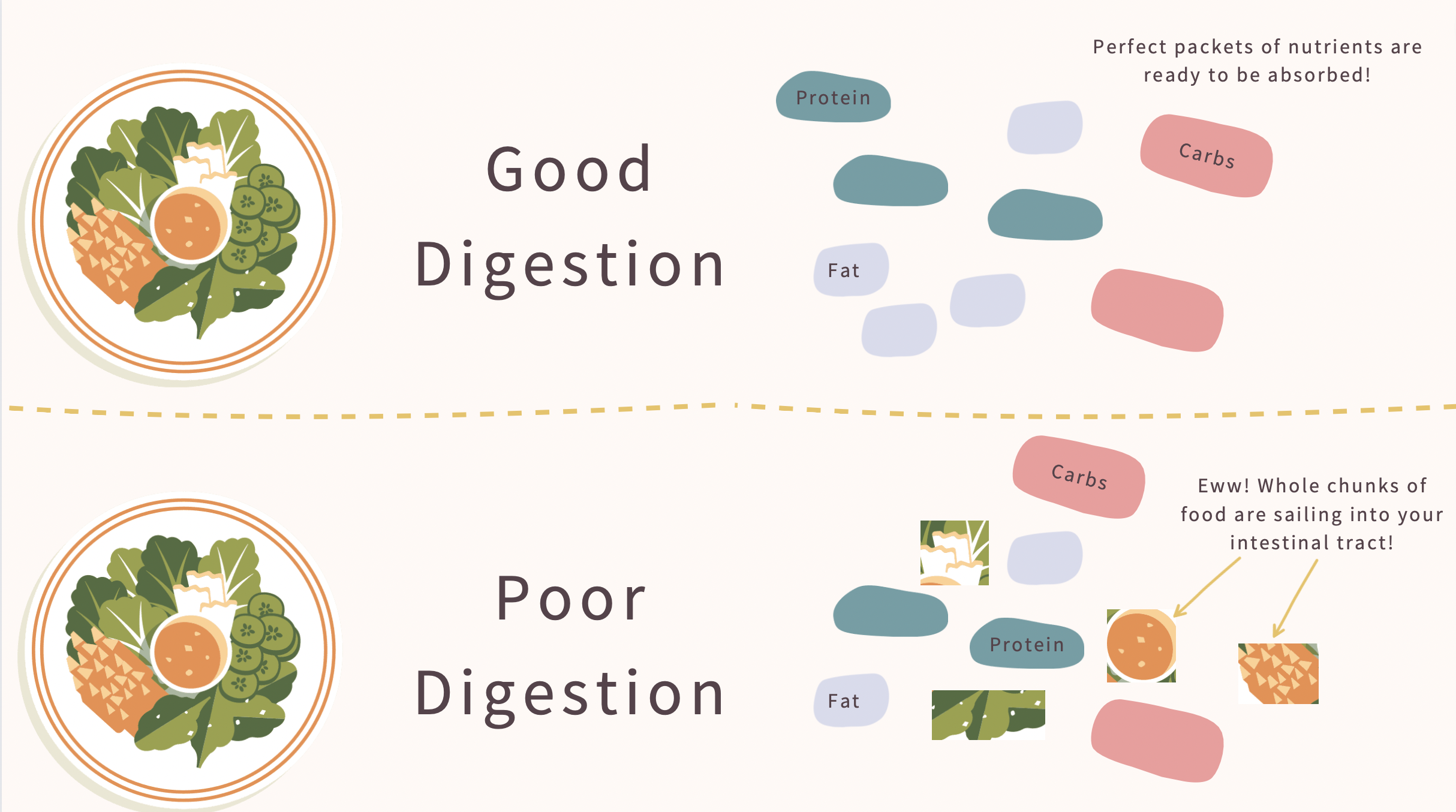 Endo Belly Series Part 2L Digestive Bloat — Heal Endo