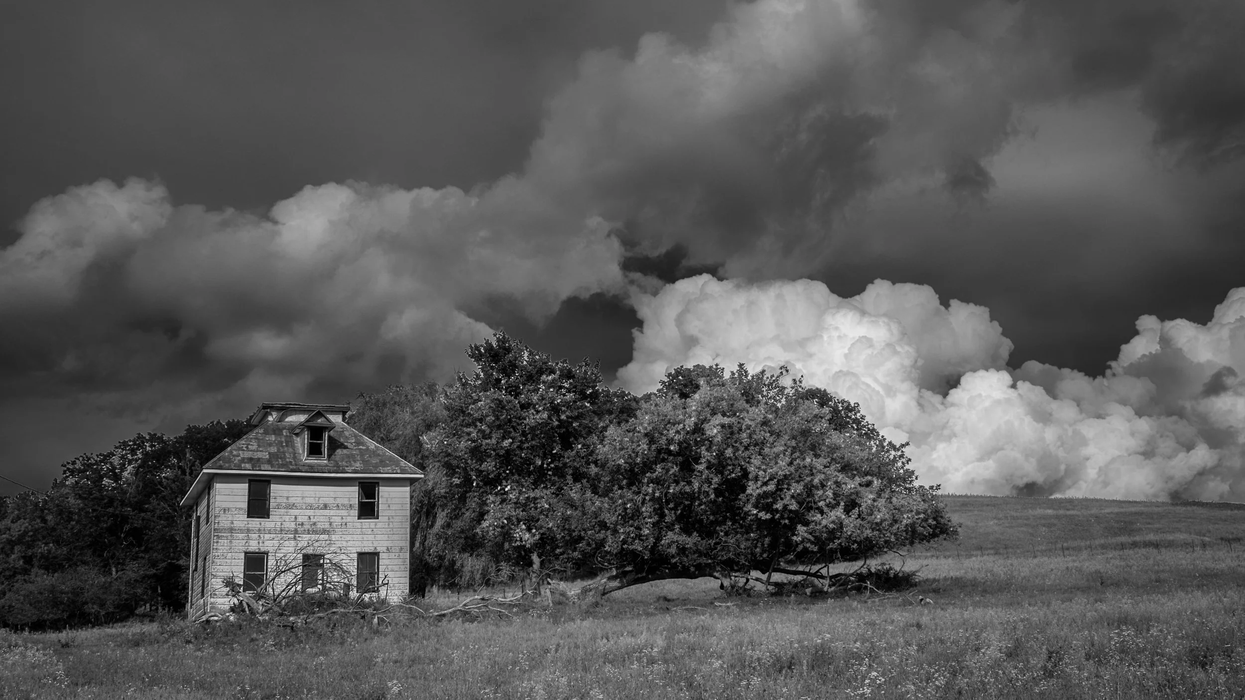 DSCF7004-Edit-2.jpg