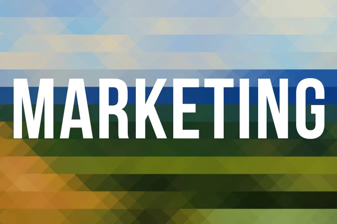 fractal online marketing thumbnail.jpg