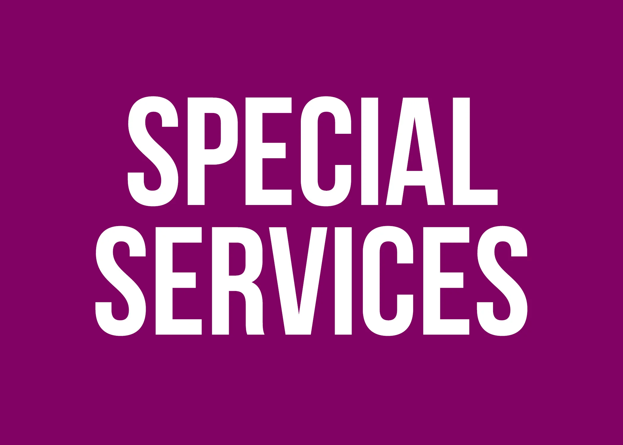 special services fractal summary.jpg