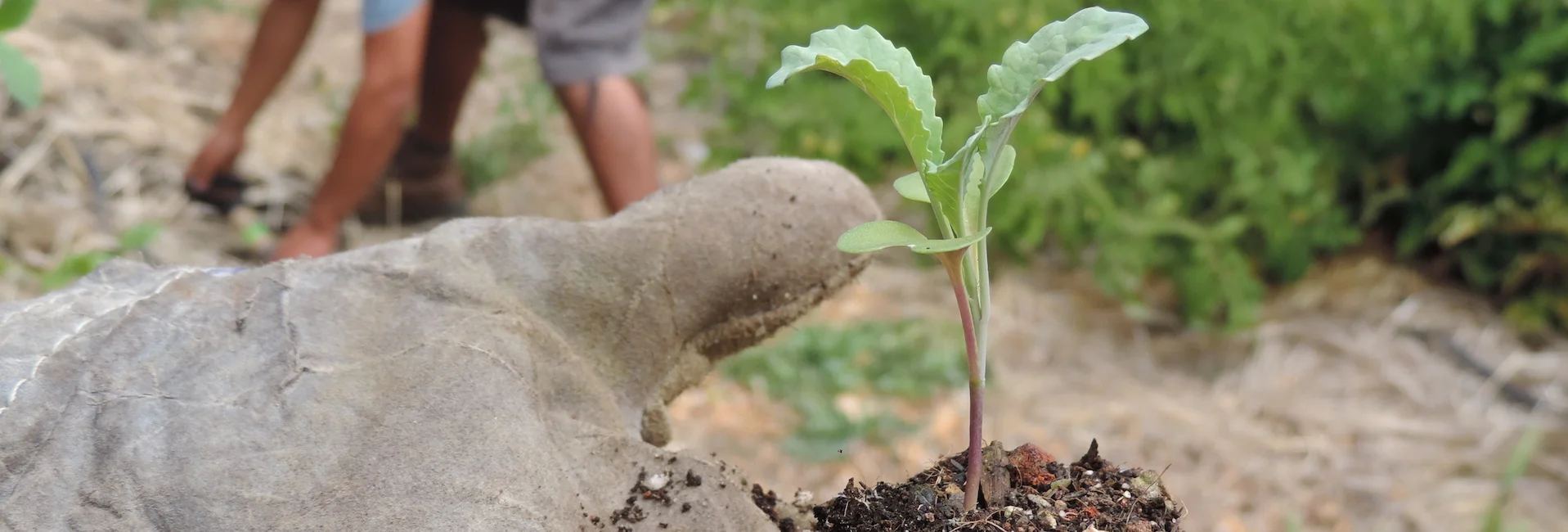 Faith is a Verb.. Musings by Pastor Tony August 4, 2017