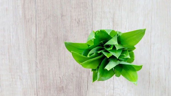 Eco Justice- Too Busy? Start Here... by Ruth Robinson