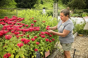Gardening if a Changing Climate