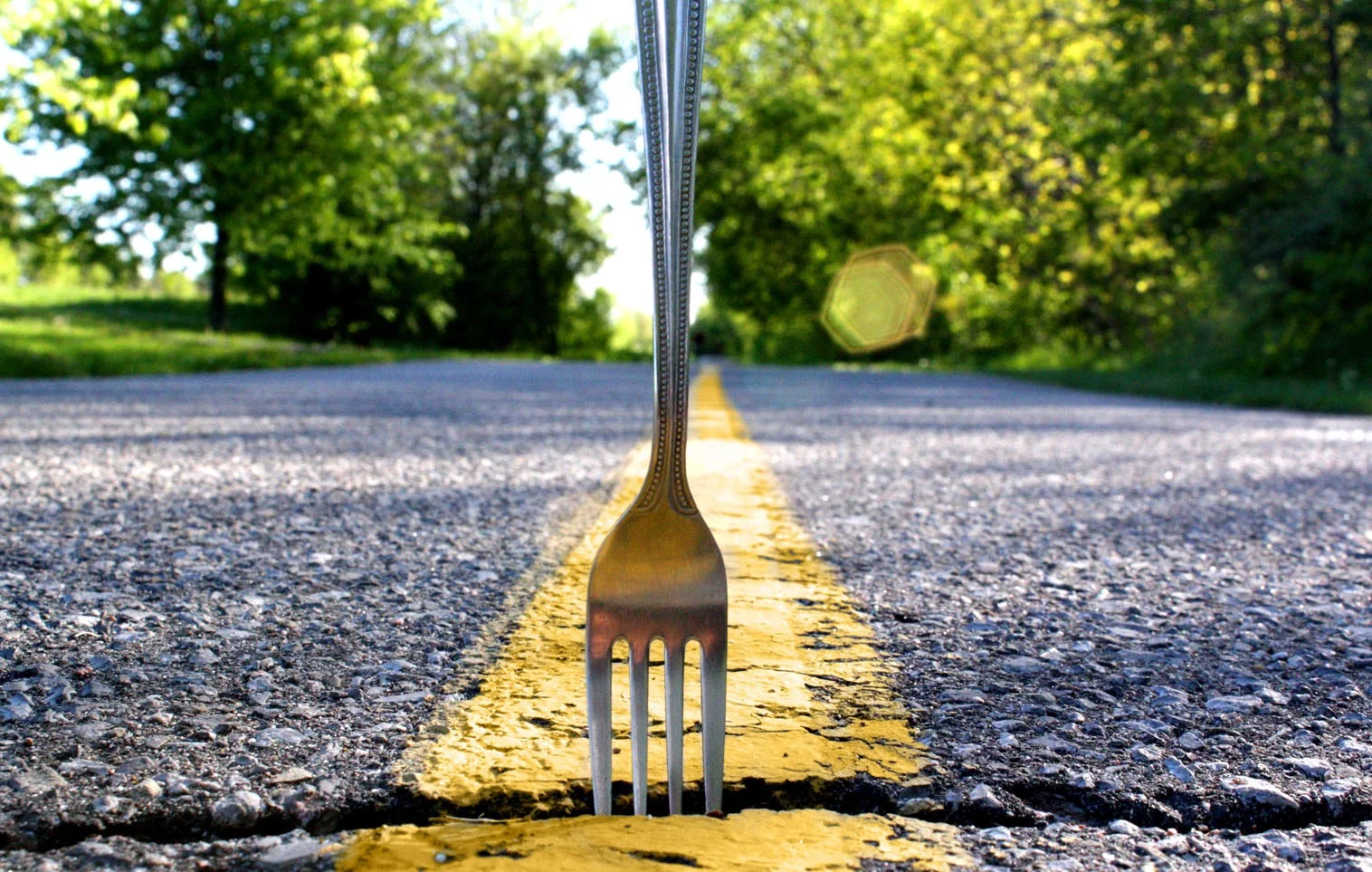 Memoir Group- A Fork in the Road
