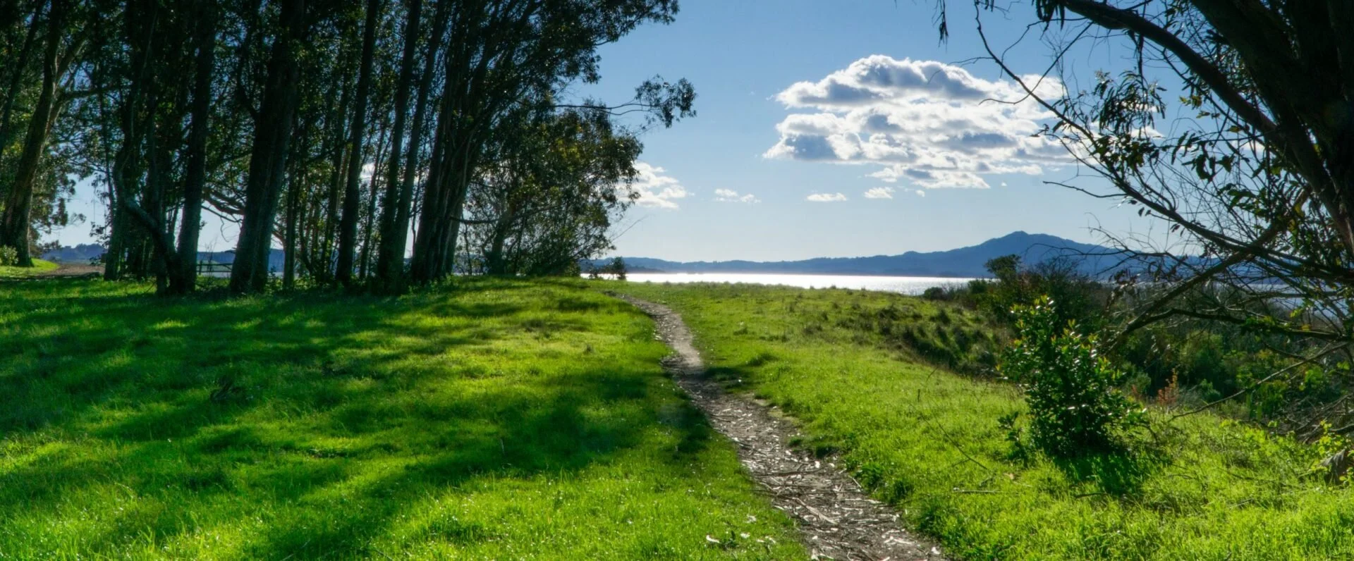 Pt. Pinole Nature Walk