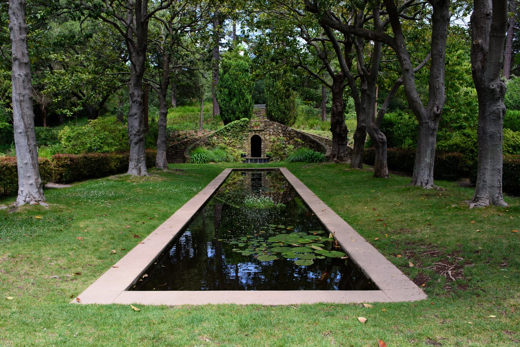 Person of the Planet Invites You for a Walk: Blake Gardens