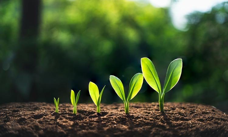 Checking In &amp; Reaching Out with Rev. Barry Cammer