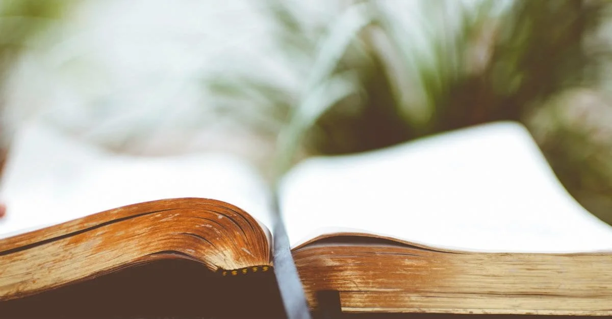 Checking In & Reaching Out: “What are your beliefs about the Bible?”
