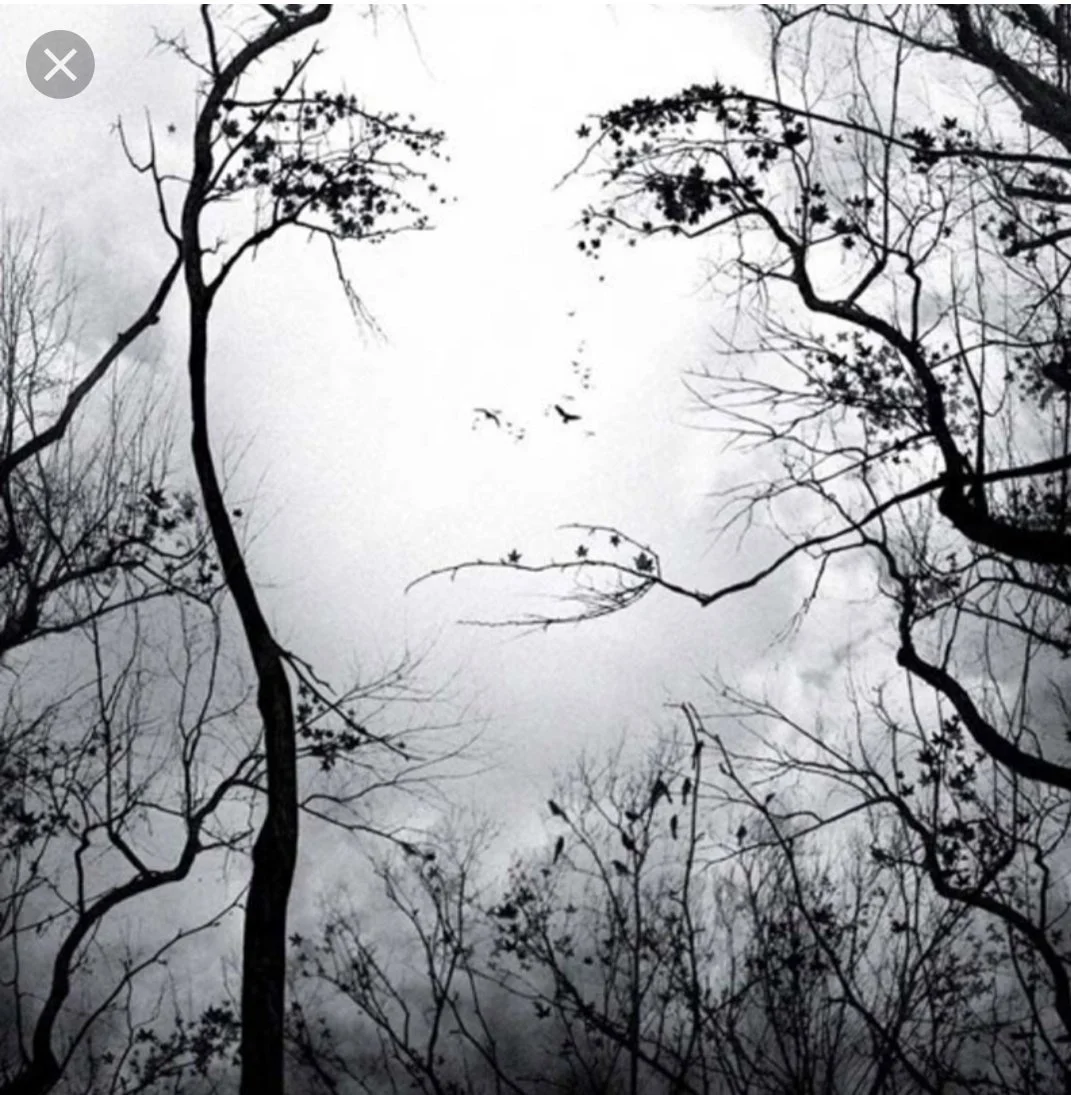 Checking In & Reaching Out