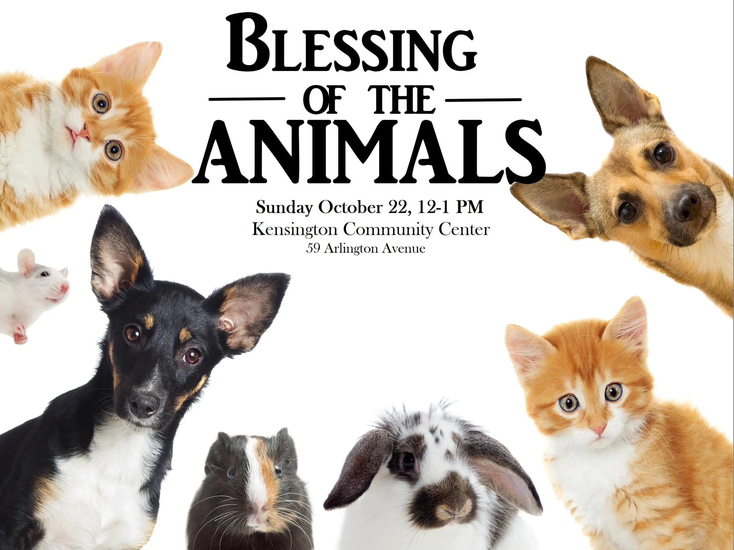 Blessing of the Animals