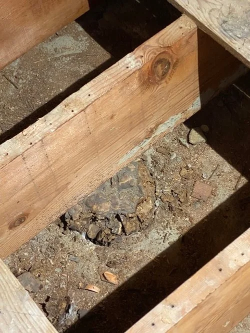 Stumped by a Stump&nbsp;by Linda Young