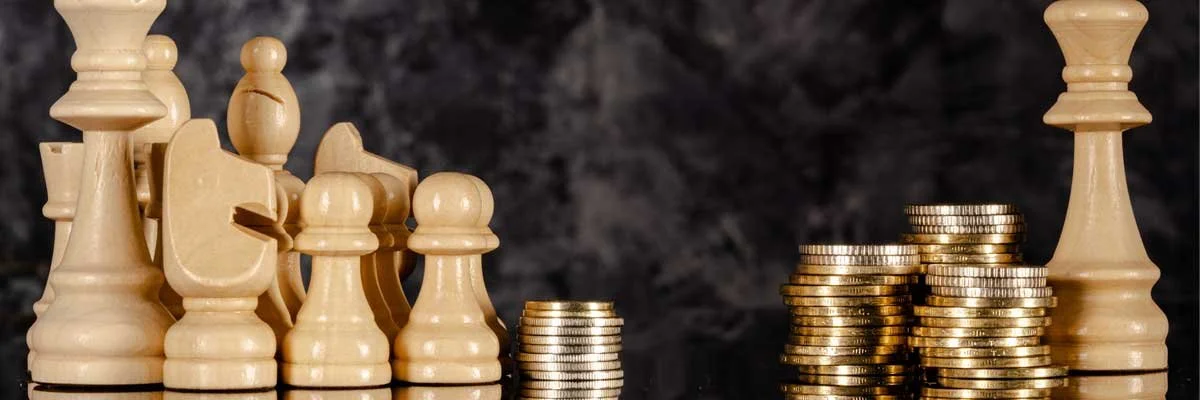 Wealth Gap Simulation