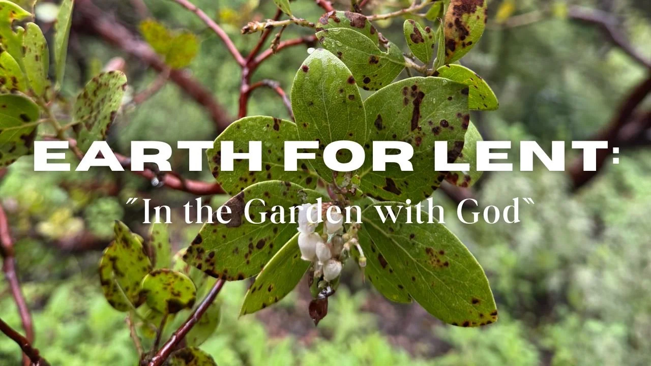 In-Person/Live-Stream Worship: "In the Garden with God"