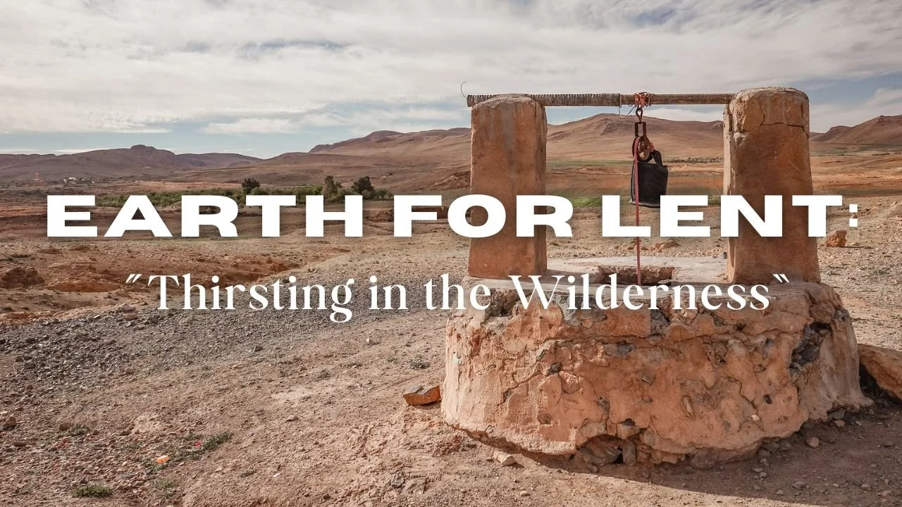 In-Person/Live-Stream Worship:  “Thirsting in the Wilderness”