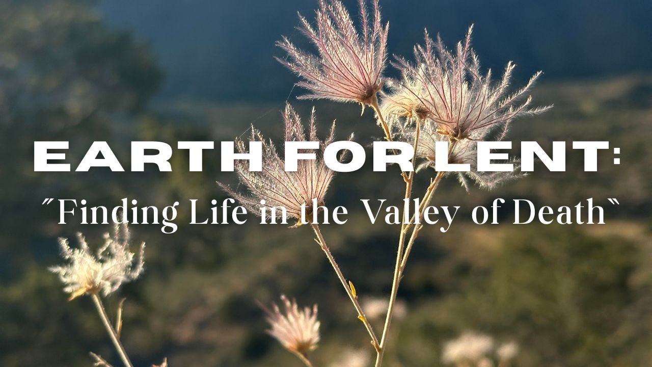 In-Person/Live-Stream Worship:  “Finding Life in the Valley of Death”