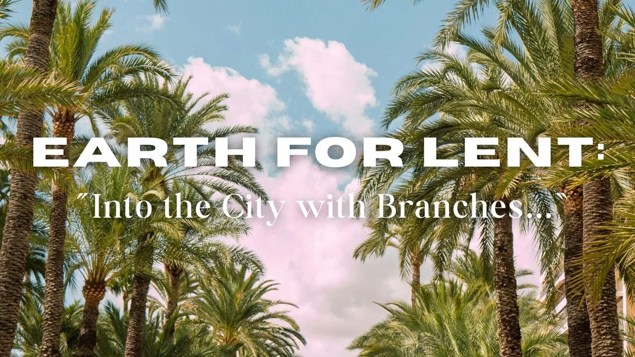 In-Person/Live-Stream Worship:  “Into the City with Branches…”