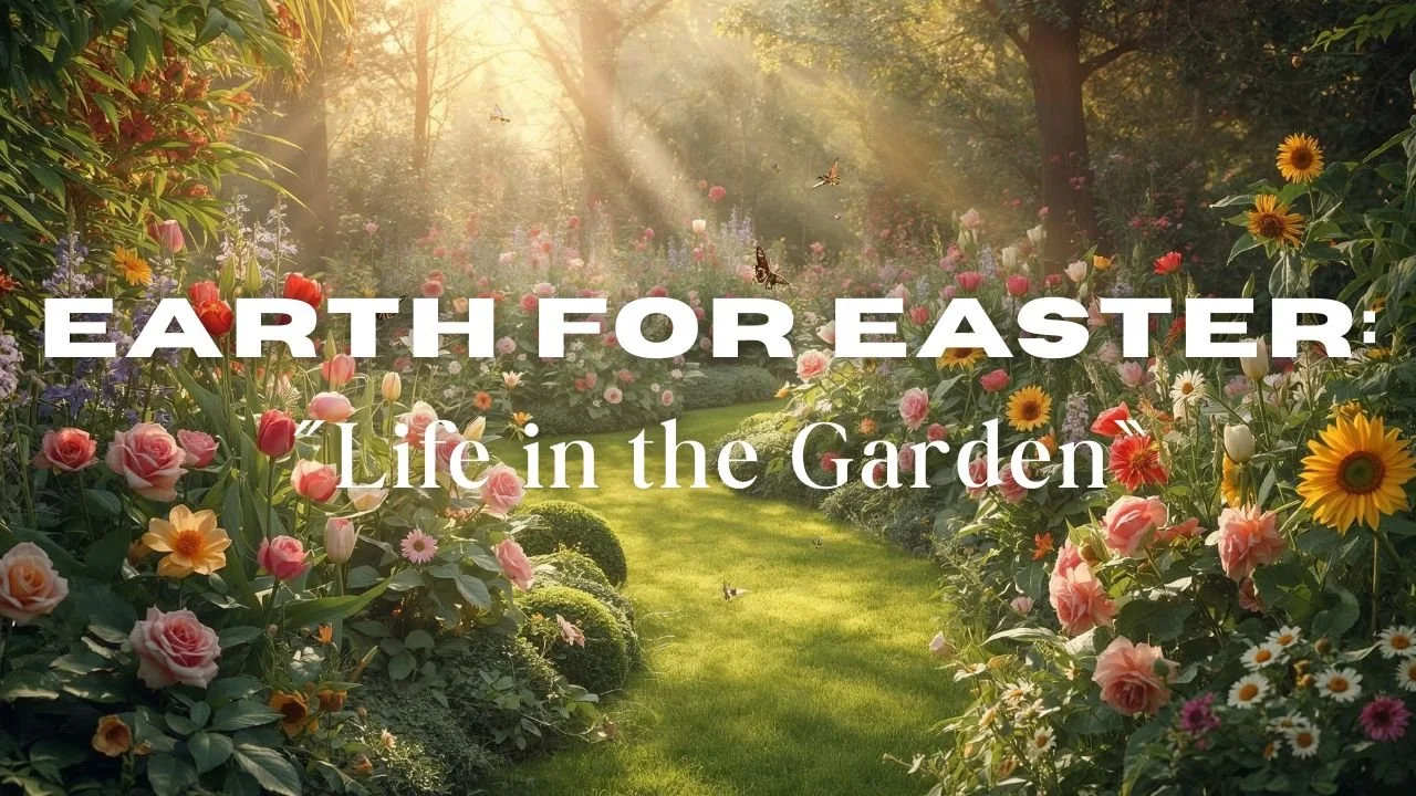 In-Person/Live-Stream Worship: Easter Sunday