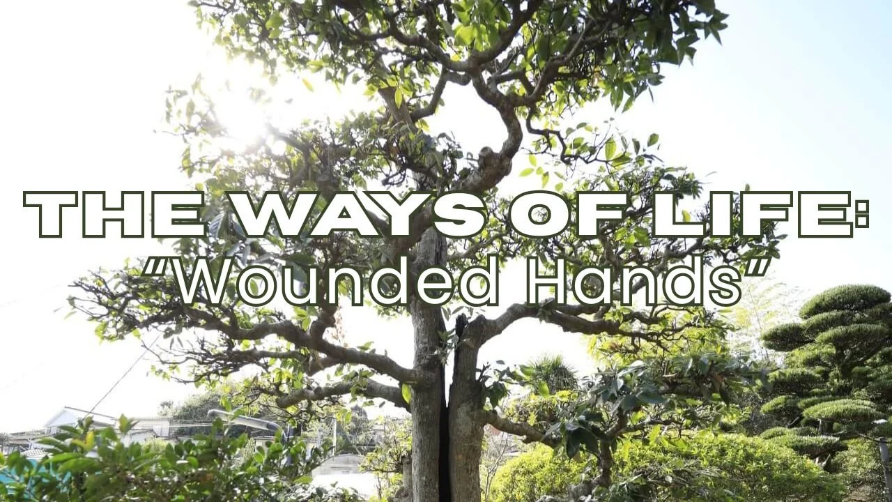 In-Person/Live-Stream Worship:  “Wounded Hands”