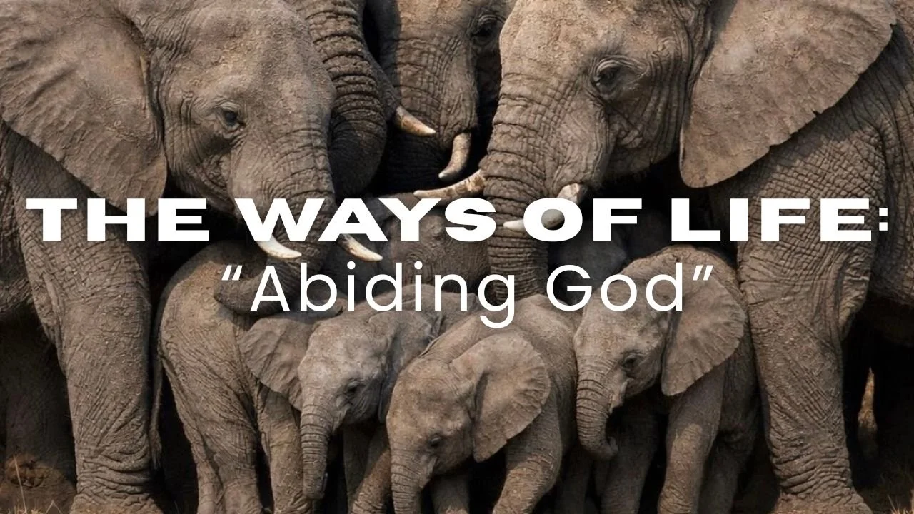 In-Person/Live-Stream Worship: “The Ways of Life: Abiding God”