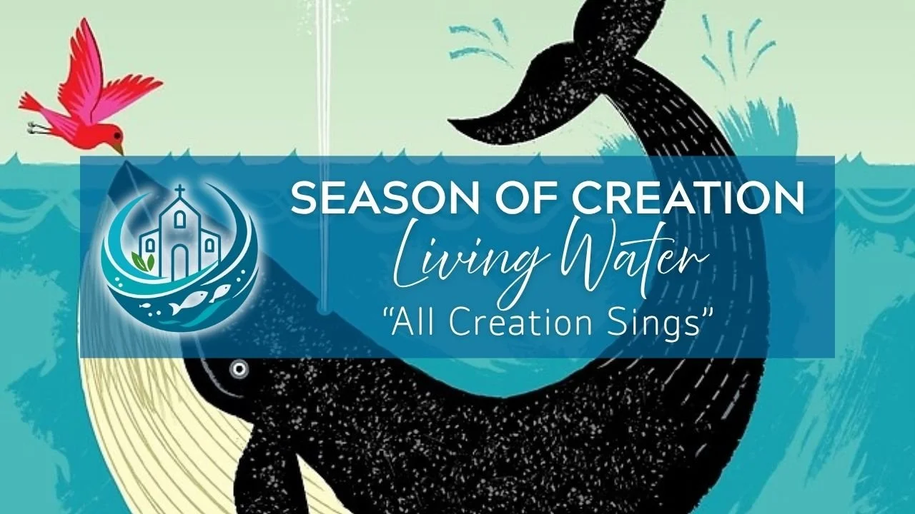 In-Person/Live-Stream Worship: "All Creation Sings"