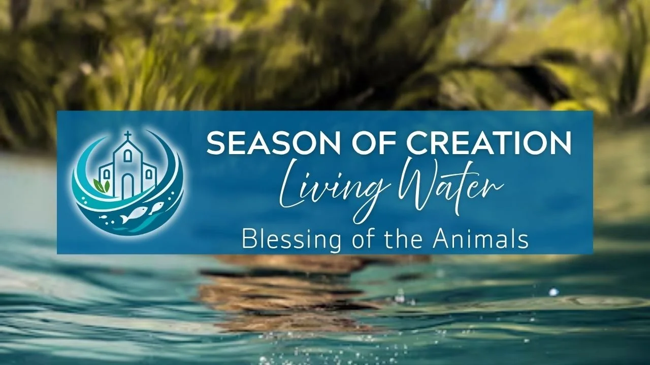 In-Person/Live-Stream Worship: Blessing of the Animals