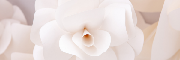 Untitled design.png