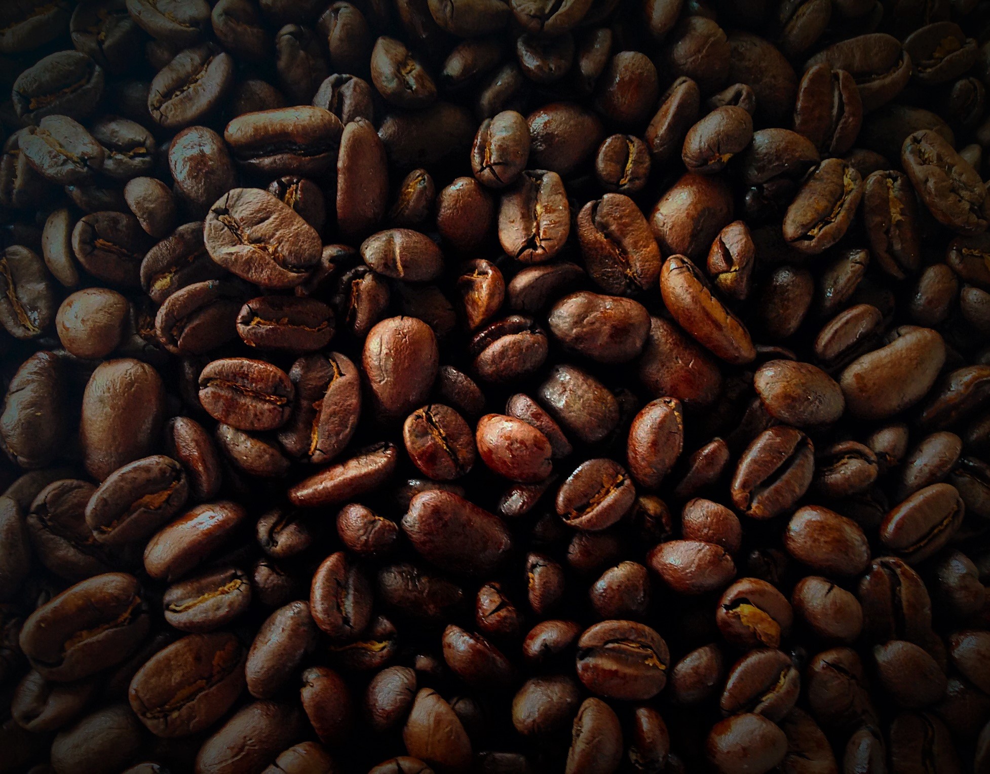 coffee beans.JPG
