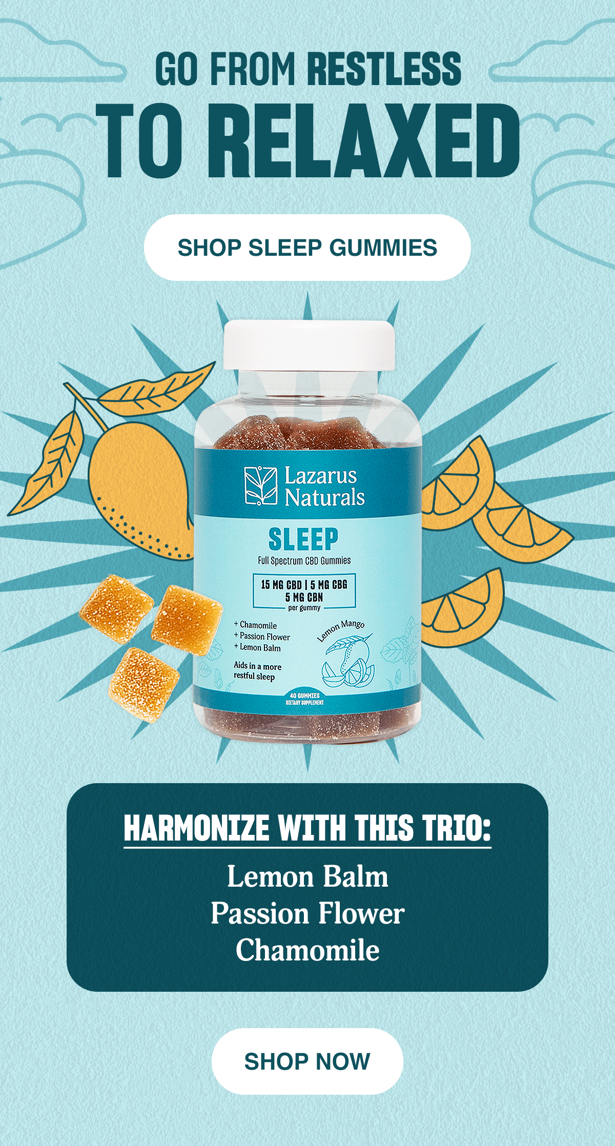 LN-Product-Feature-Sleep-Gummies-Email_NEW.gif
