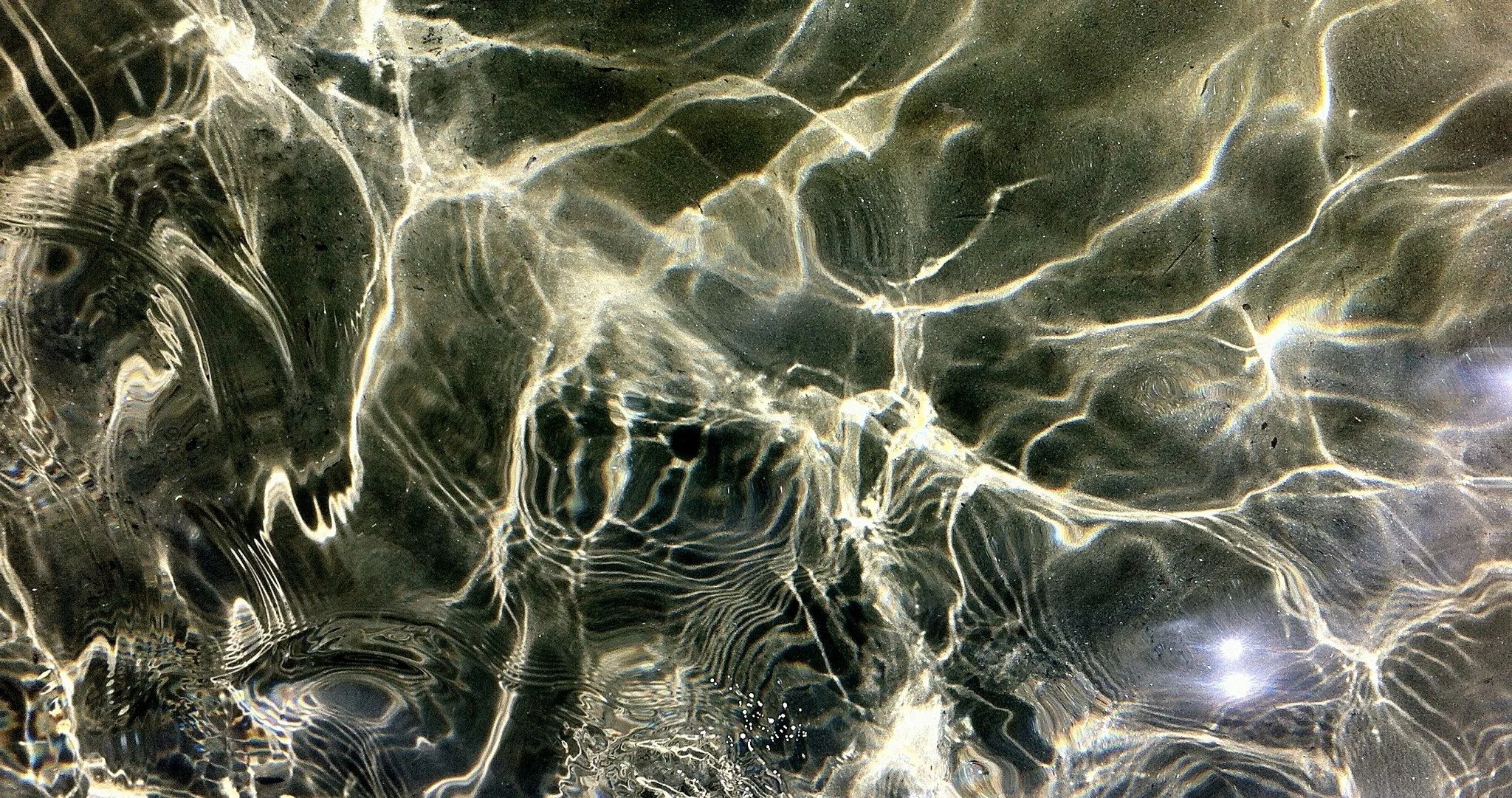 1074101_10100807333459181_1667698054_o.jpg