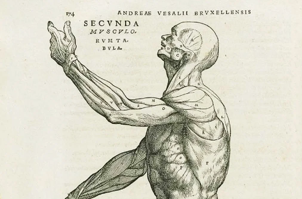 Writing Exercise: The Importance of Body Language