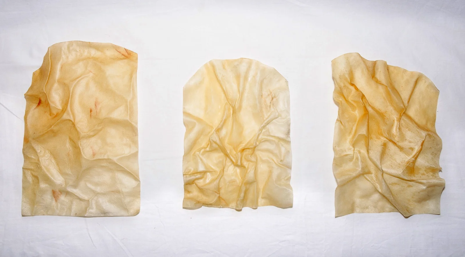 Parchment