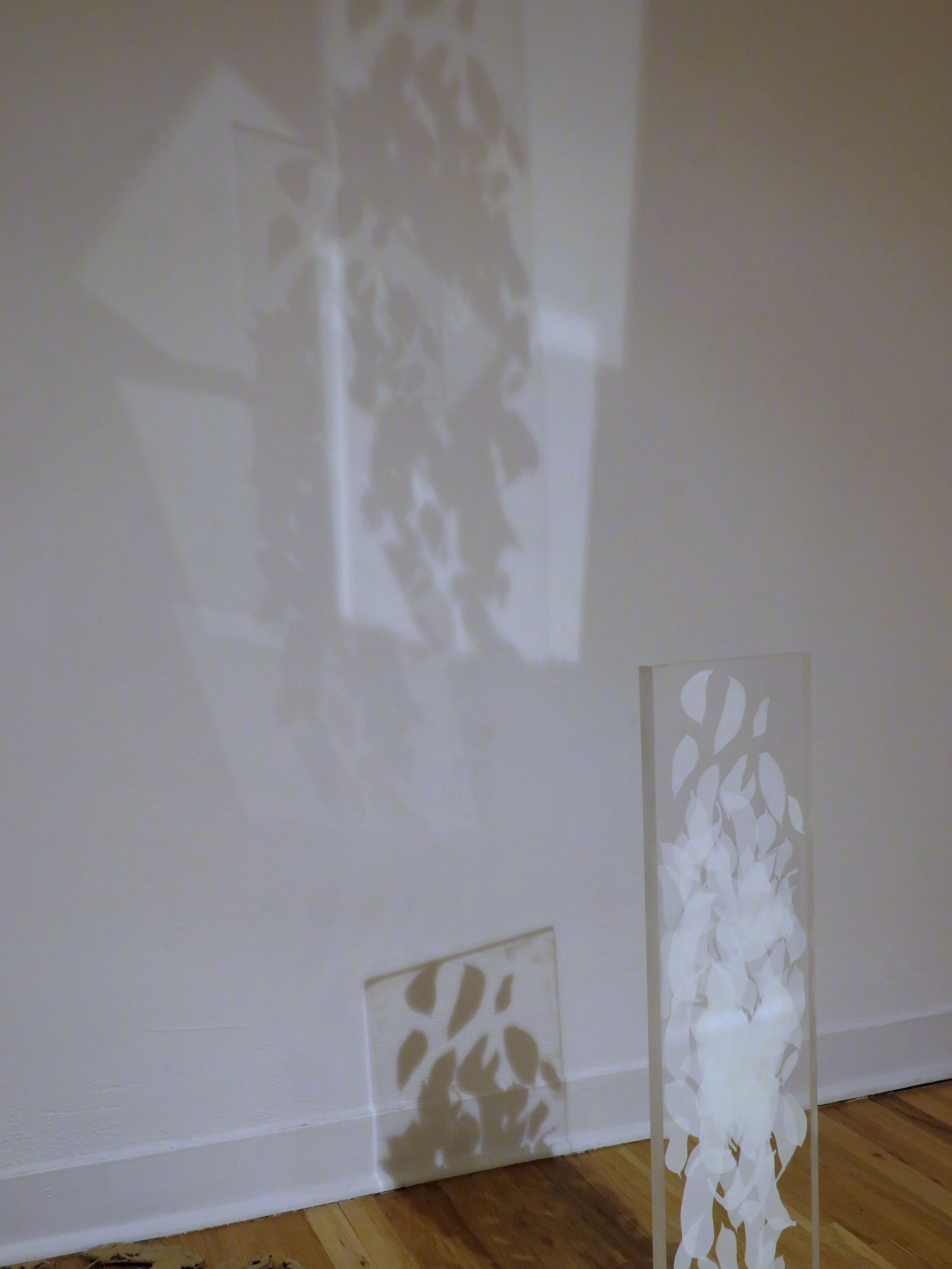 Erin+Louise+Gould%2C+Installation+Photo%2C+All+That+I+Have+23.jpg