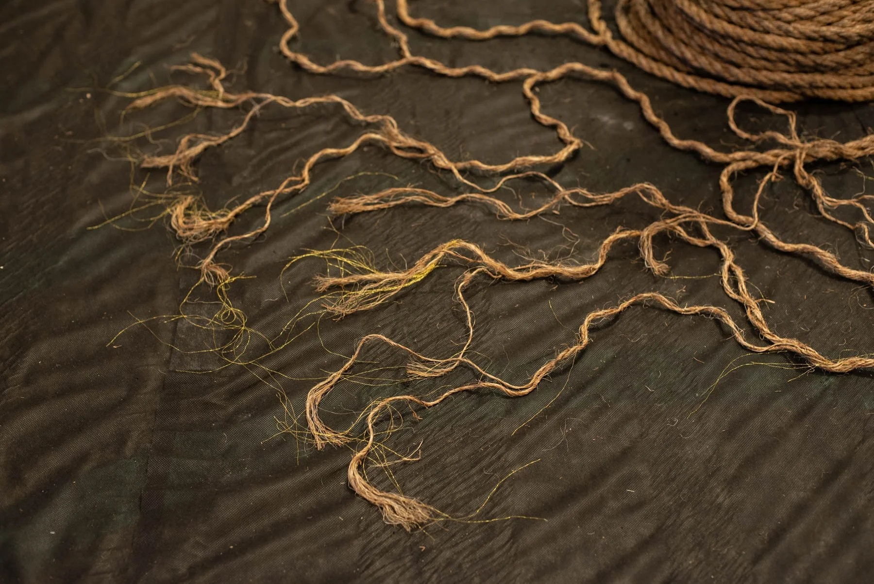 in the unraveling (detail)