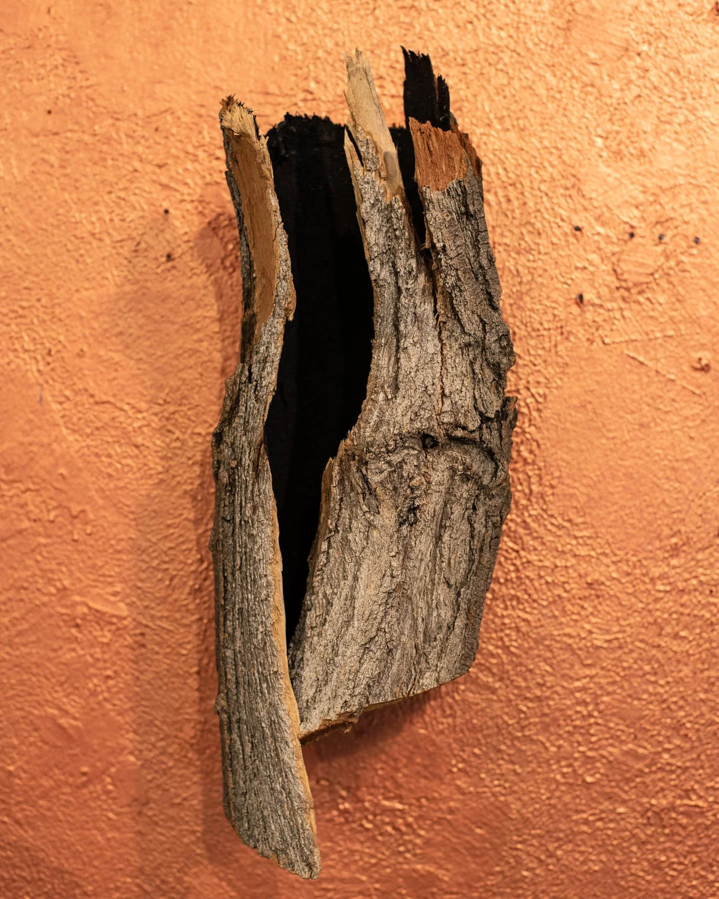 Confluences (detail)