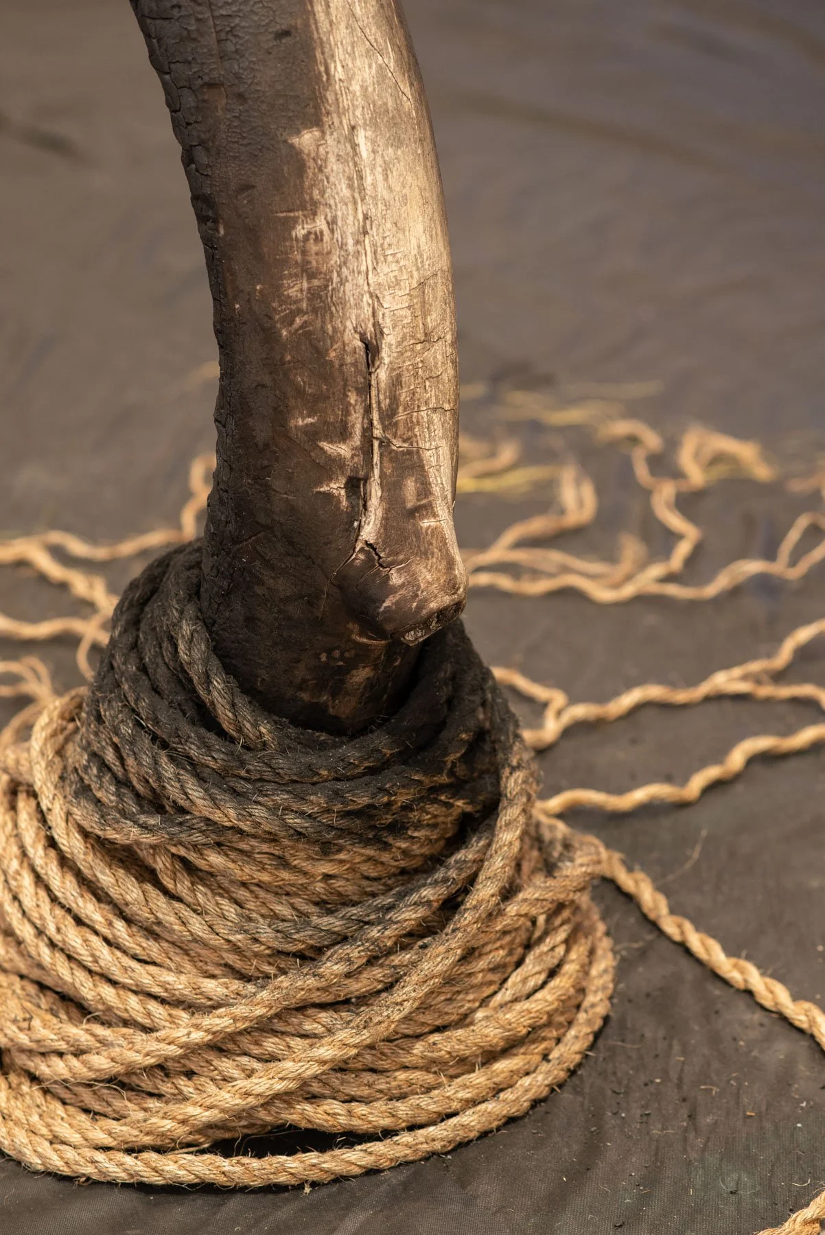 in the unraveling (detail)