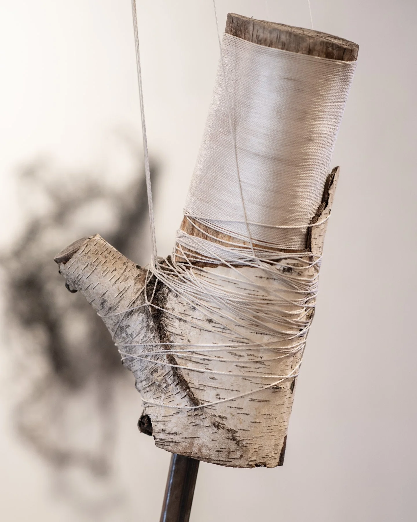 the forests that are no longer (detail)