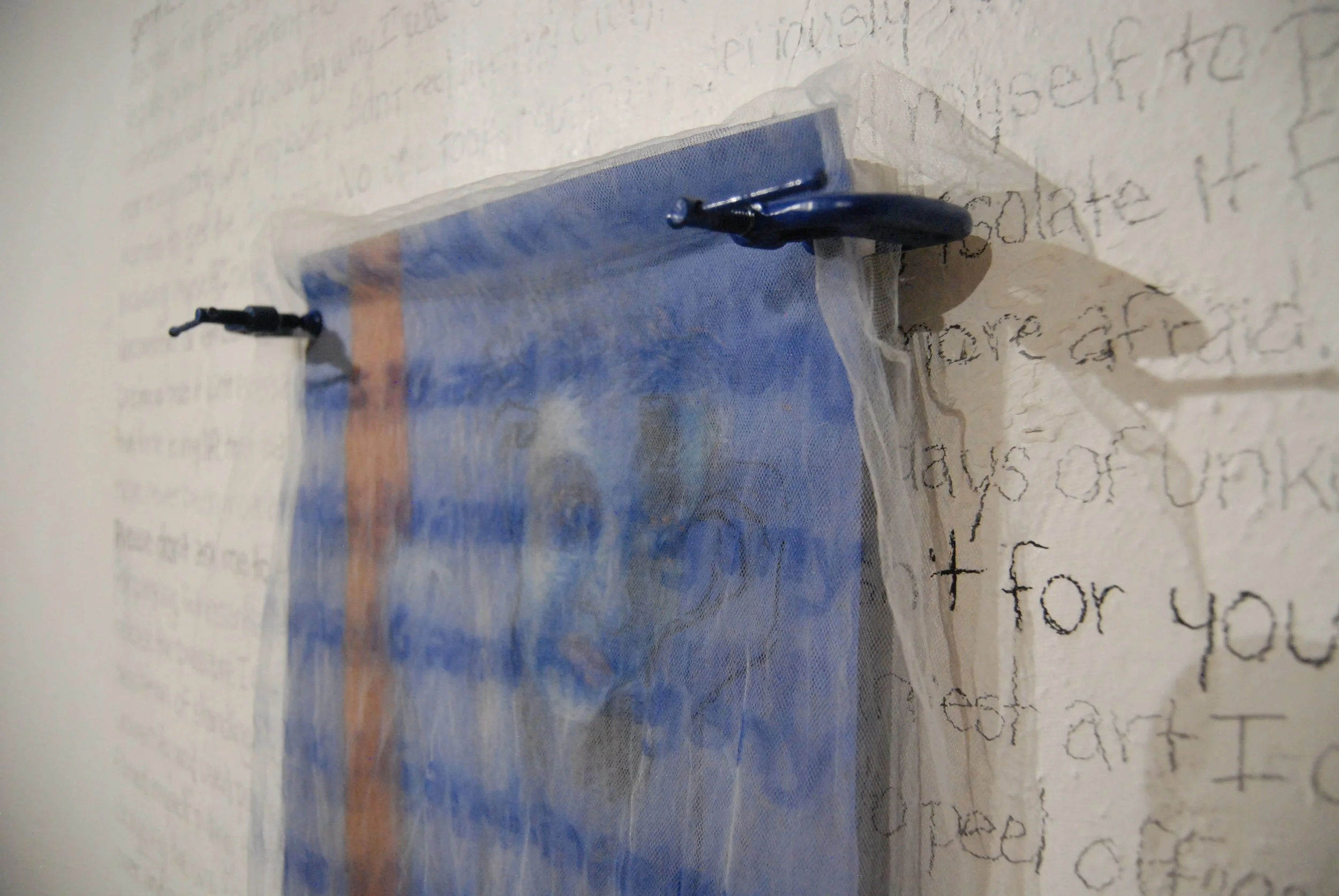 SELF PORTRAIT CLAMPS AND MESH.JPG