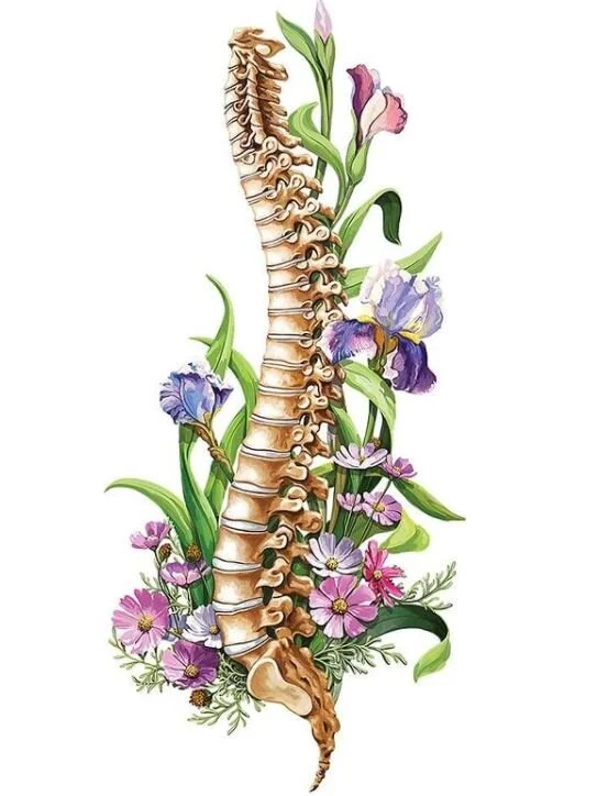 Healthy, Happy Hips &amp; Lower Back 