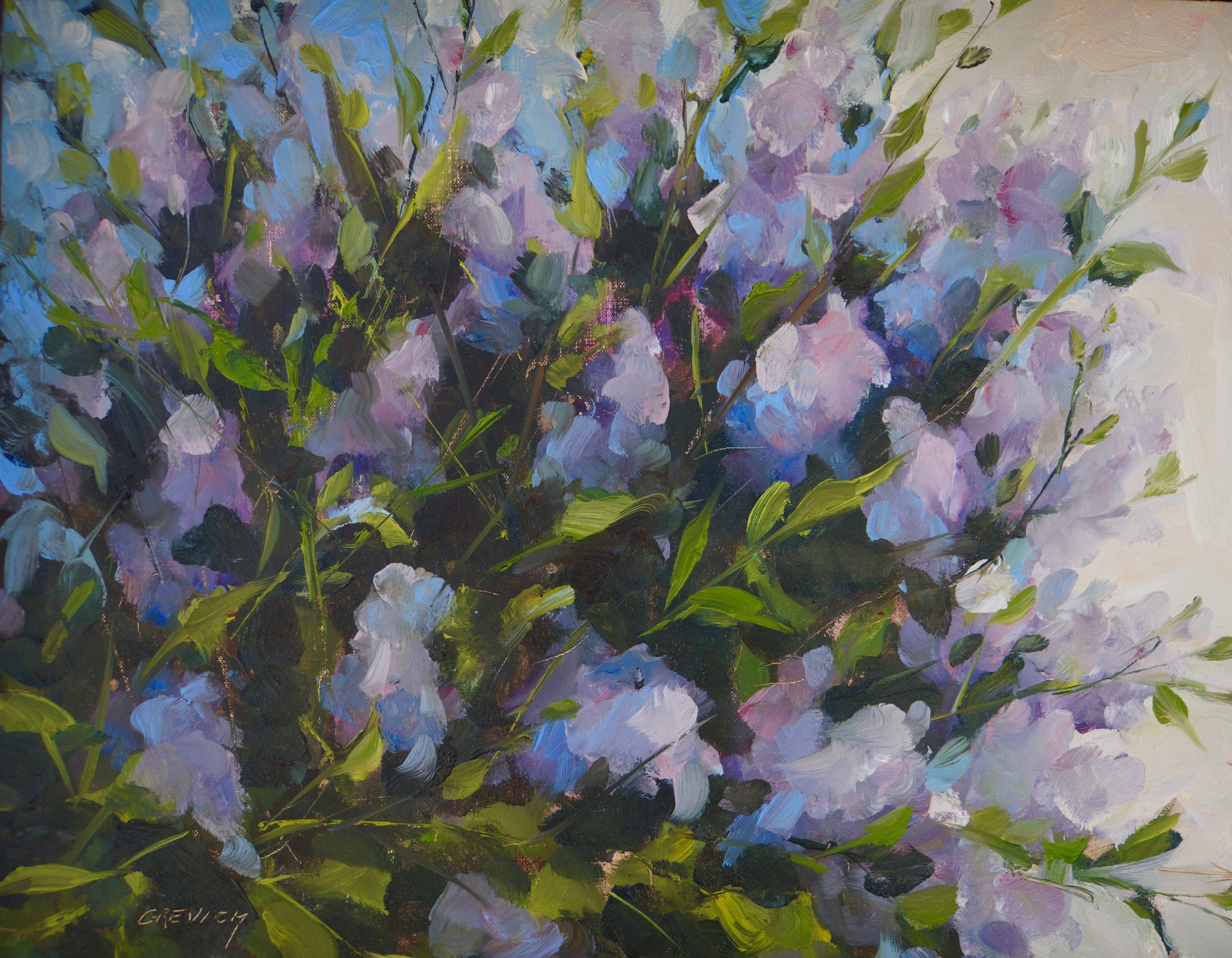 Lilacs in Bloom