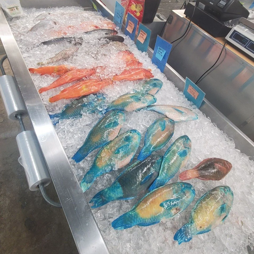 Fresh fish 🐟 for days @blueseafoodcompany - make a splash 🌊at your next gathering.