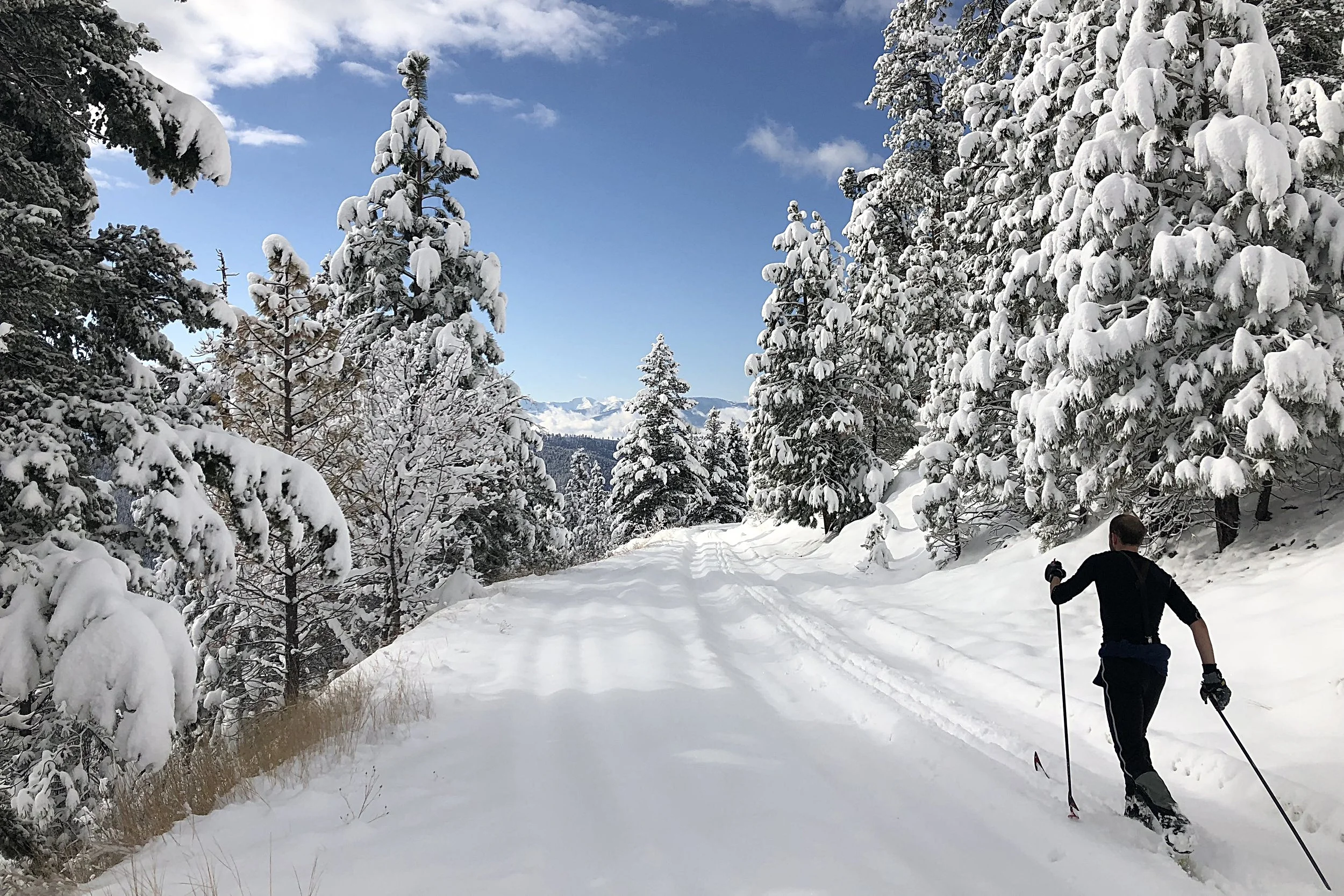 Deer Creek Road (from the Pattee Canyon trailhead). Nov 8, 2018