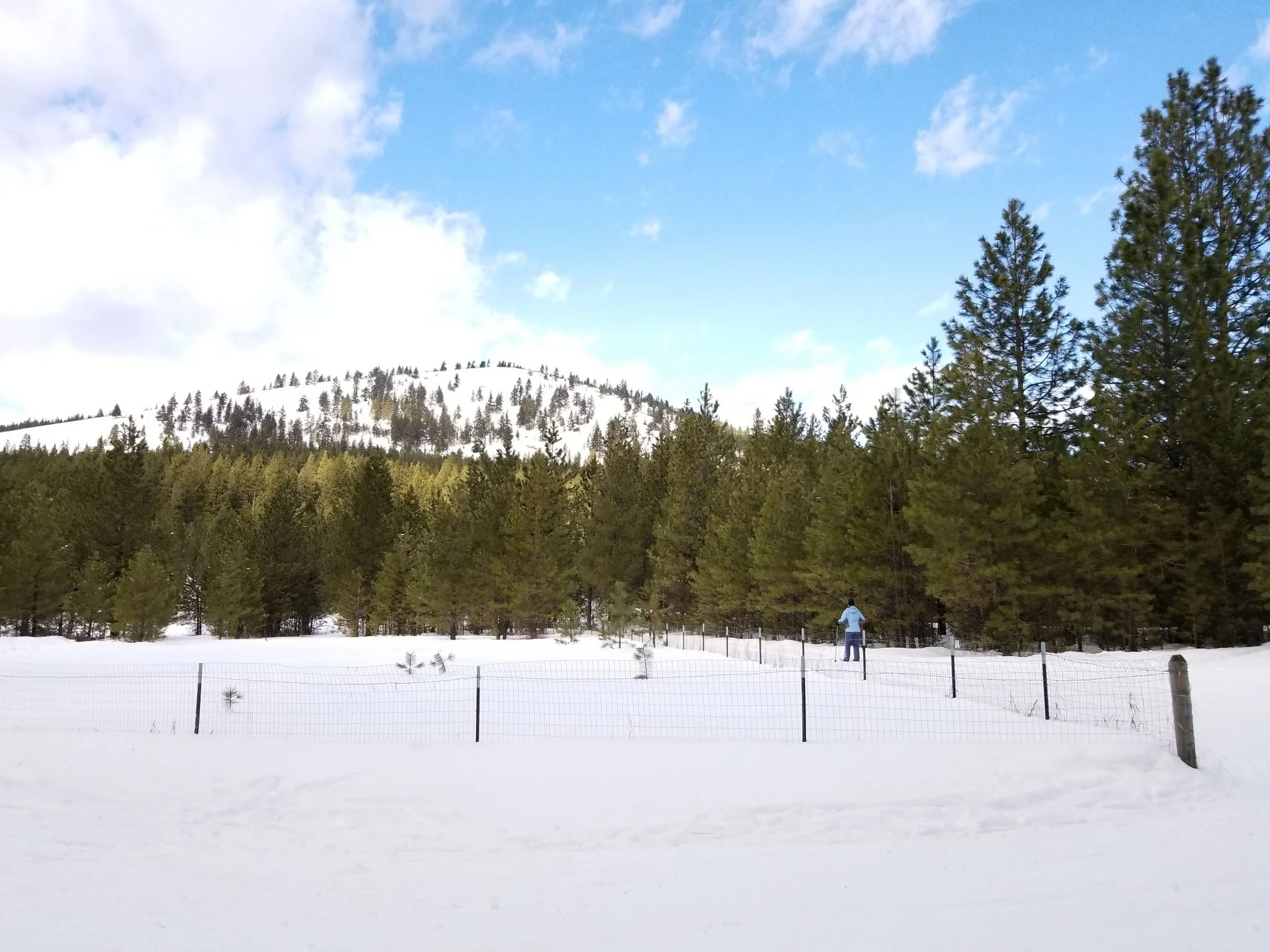 PATTEE CANYON WORK DAY 