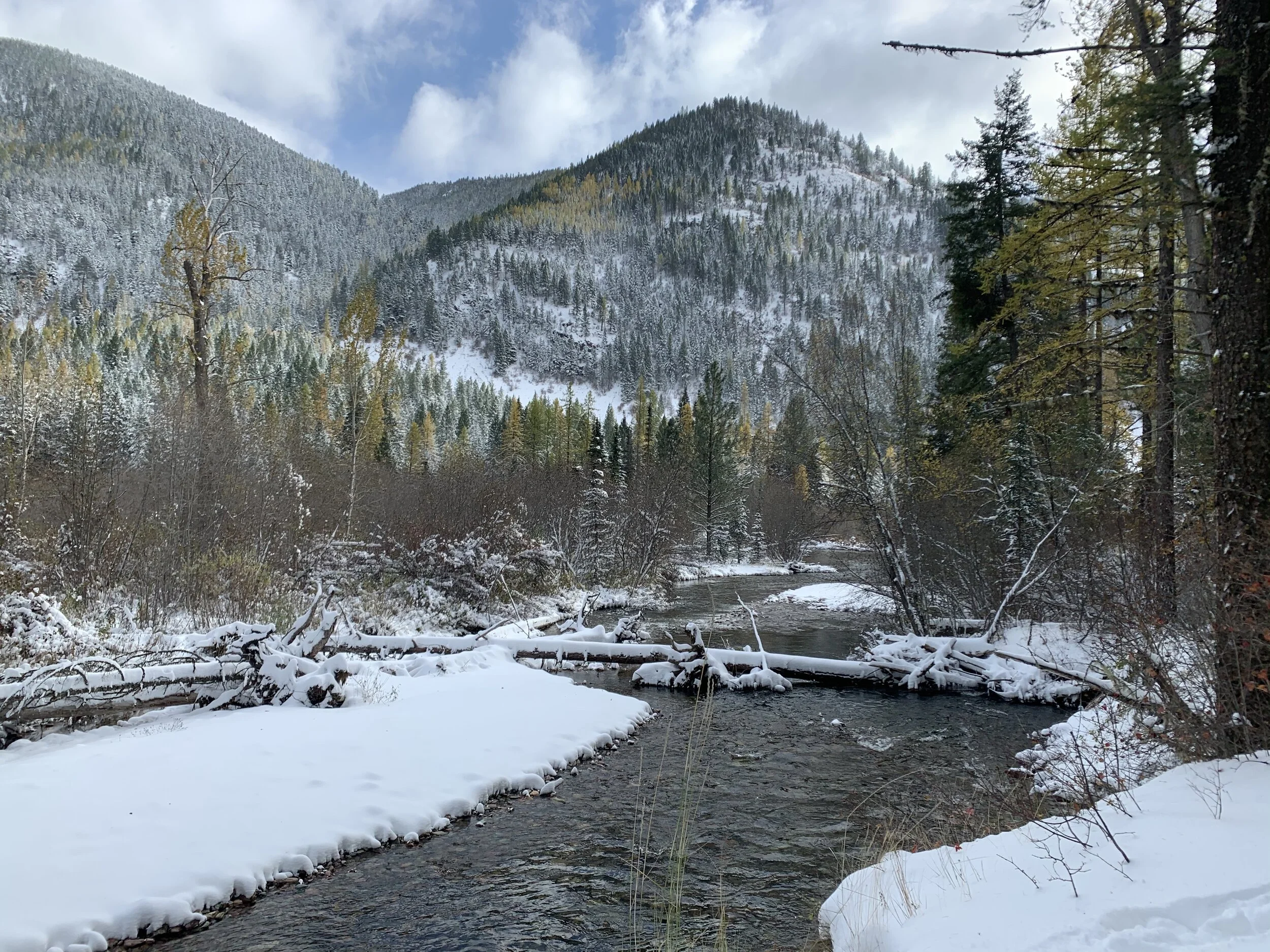 UM Golf Course Gets First Grooming!