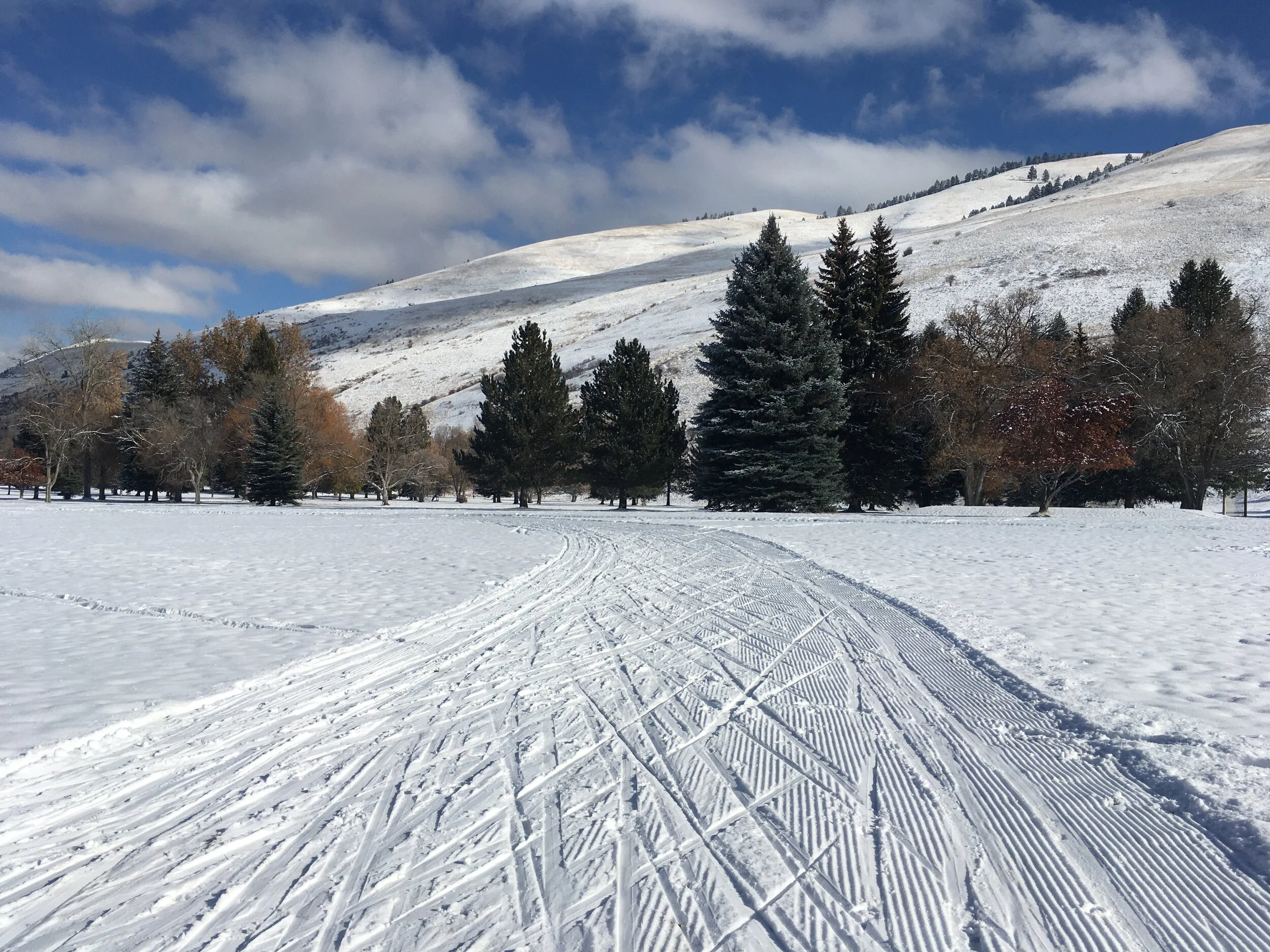UM Golf Course Grooming Conditions Page