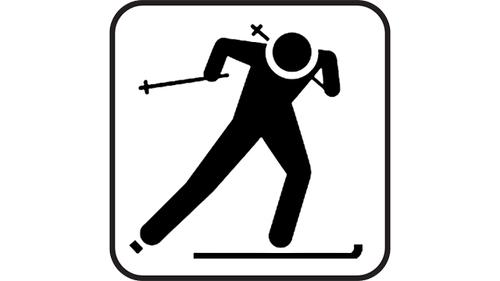 Intermediate skate clinic