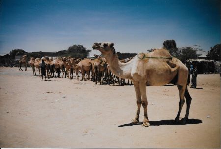Somalia Part 5 c.jpg